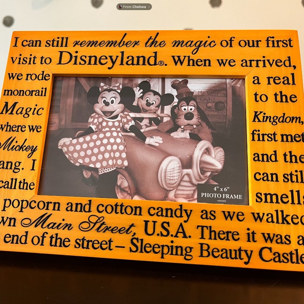 4x6 Disneyland Photo Frame